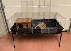Cavia/konijnen kooi met toebehoren, Dieren en Toebehoren, Ophalen, Kooi, Cavia, 110 cm of meer