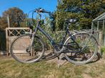 Thompson muscle bike voor dames, Ophalen, Gebruikt, Overige merken, Versnellingen