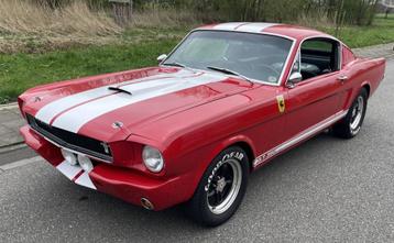 Ford Mustang Fastback GT350 Tribute disponible aux enchères