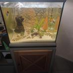 300 l mooie landelijke aquarium, Ophalen, Zo goed als nieuw