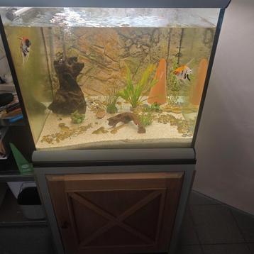 300 l mooie landelijke aquarium  beschikbaar voor biedingen