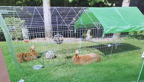 kippenren konijnenren , met puntdak gegalvaniseerd, Dieren en Toebehoren, Pluimvee | Toebehoren, Nieuw, Kippenhok of Kippenren