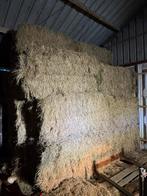 Hooi te koop. 140cm X 120cm X 100cm, Dieren en Toebehoren, Dierenvoeding, Ophalen