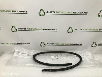 Deurrubber Rechts Achter Fiat Tipo NIEUW ORIG 52015742 beschikbaar voor biedingen