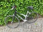 Sportfiets koga, Ophalen, Gebruikt, Meer dan 20 versnellingen, Koga Miyata