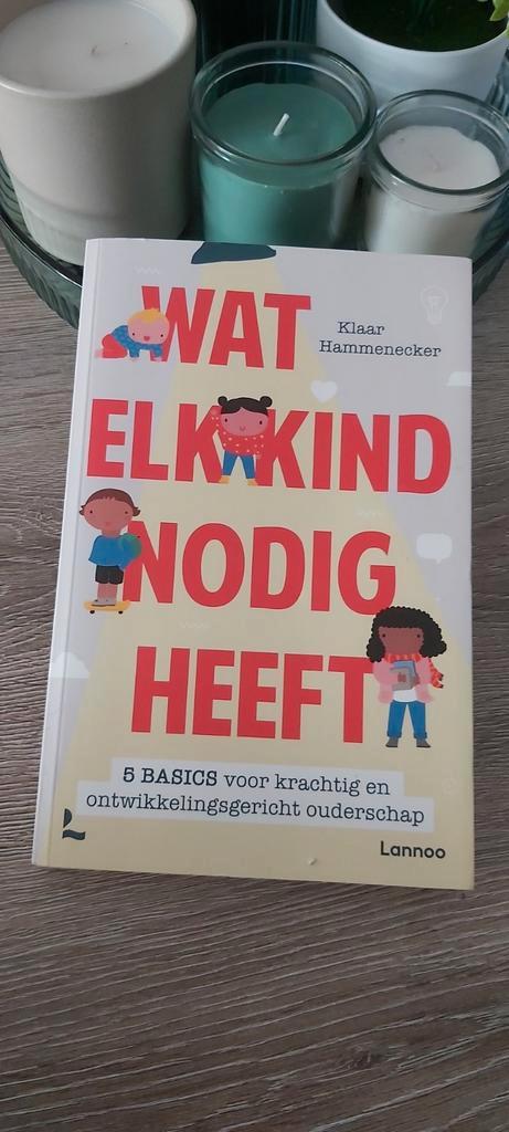 Boek Wat elk kind nodig heeft, Klaar Hammenecker, Livres, Grossesse & Éducation, Comme neuf, Enlèvement ou Envoi