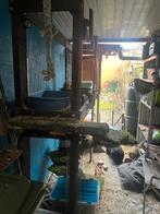 Konijnen over te nemen, Dieren en Toebehoren, Meerdere dieren, Groot, Hangoor, 0 tot 2 jaar