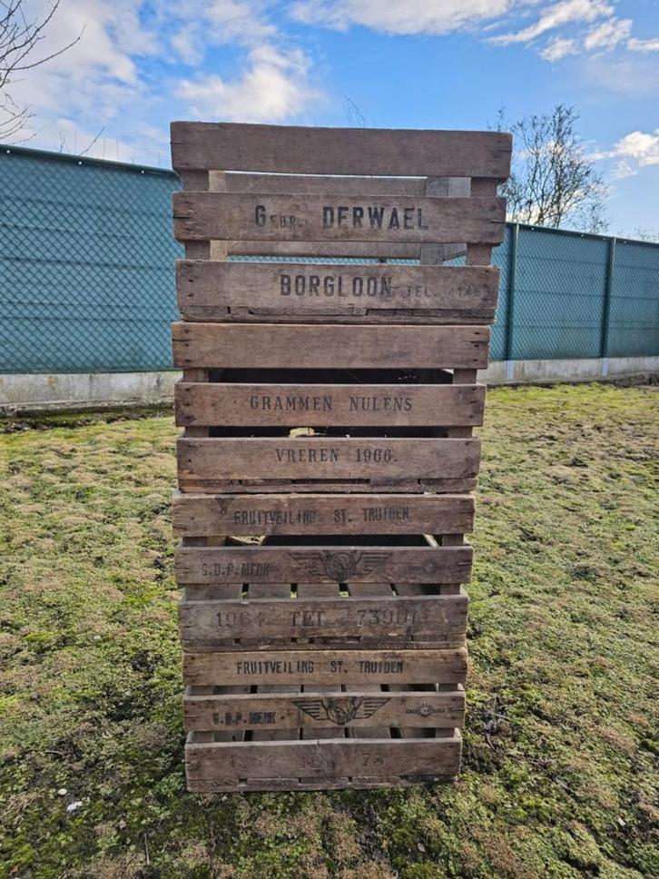 23 gebruikte houten veilingkisten, Huis en Inrichting, Woonaccessoires | Kisten, Gebruikt, Minder dan 50 cm, Minder dan 50 cm