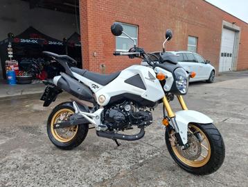 Honda Grom 125CC Autorijbewijs  beschikbaar voor biedingen