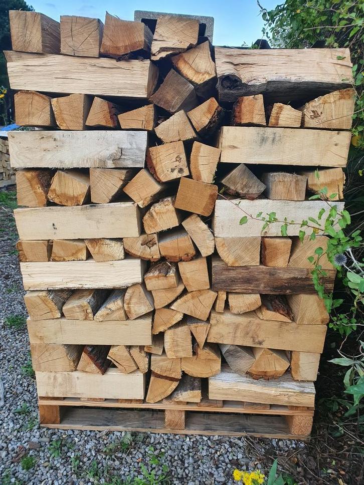 Brandhout eik halfdroog, Tuin en Terras, Brandhout, Stammen, Ophalen