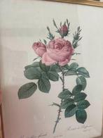 litho PJ Redoute, Antiek en Kunst, Ophalen of Verzenden
