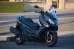 Suzuki Burgman 400, Scooter, Particulier, 12 à 35 kW, Éclairage LED
