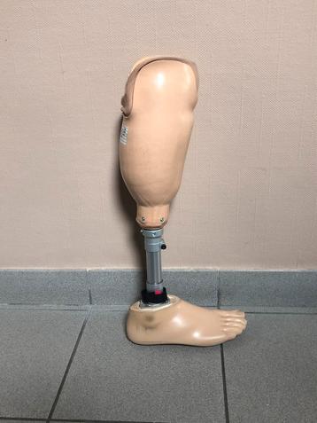 Kniebeenprothese beschikbaar voor biedingen