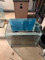 Kweekaquarium, Dieren en Toebehoren, Ophalen, Zo goed als nieuw