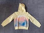 Hoodie H&M maat 134/140, Gebruikt, Meisje, Trui of Vest, H&M