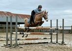 C wedstrijdpony, Dieren en Toebehoren, Paarden, Merrie, Springpaard, Minder dan 160 cm, L
