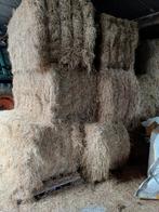 Hooi, Dieren en Toebehoren, Ophalen of Verzenden