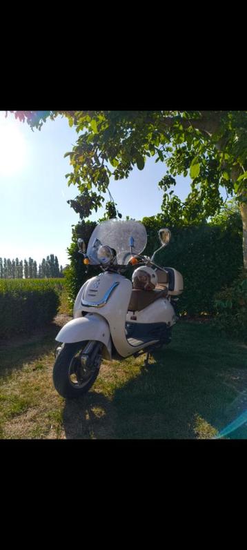 Trottinette rétro AGM + 2 casques, Autres modèles, 125 cm³, Enlèvement, Utilisé