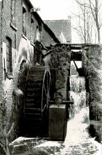 Welden - Toysschemolen, Verzamelen, Postkaarten | België, Ophalen of Verzenden, 1980 tot heden, Ongelopen, Oost-Vlaanderen