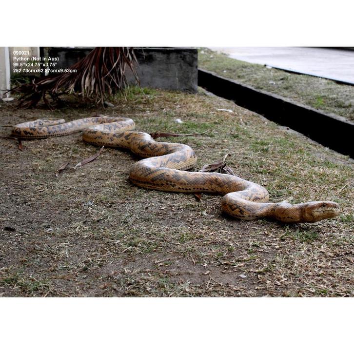 Statue Python — serpent Longueur 253 cm, Collections, Collections Animaux, Neuf, Enlèvement