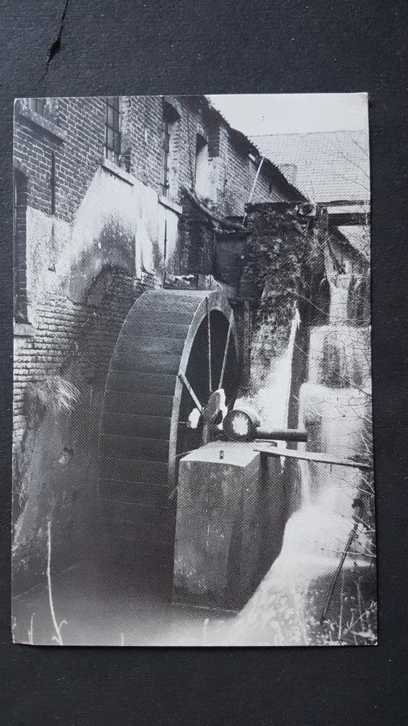 Postkaart Welden Oudenaarde Toyssche molen watermolen, Verzamelen, Postkaarten | België, Ongelopen, Oost-Vlaanderen, 1980 tot heden