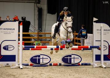 Lieve allround D-pony, Dieren en Toebehoren, B, Springpony, 11 jaar of ouder, D pony (1.37m tot 1.48m)
