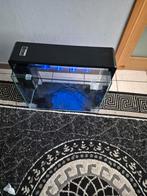 Aquarium LED, Animaux & Accessoires