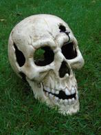 standbeeld van een menselijke schedel in roestig wit gietijz, Tuin en Terras, Nieuw, Overige typen, Ophalen of Verzenden, Metaal