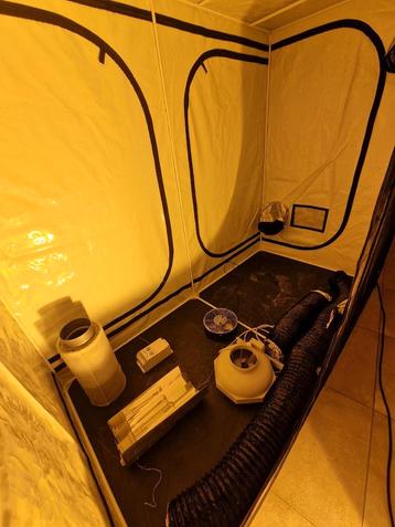 Mammoth kweektent (240x120x200cm) incl alle toebehoren  beschikbaar voor biedingen