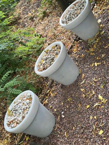 3 bloempotten bloom beschikbaar voor biedingen