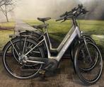 Ensemble de vélo électrique Trek TM4+ avec moteur central Bo, Comme neuf, Autres marques, Moins de 10 vitesses, Suspension