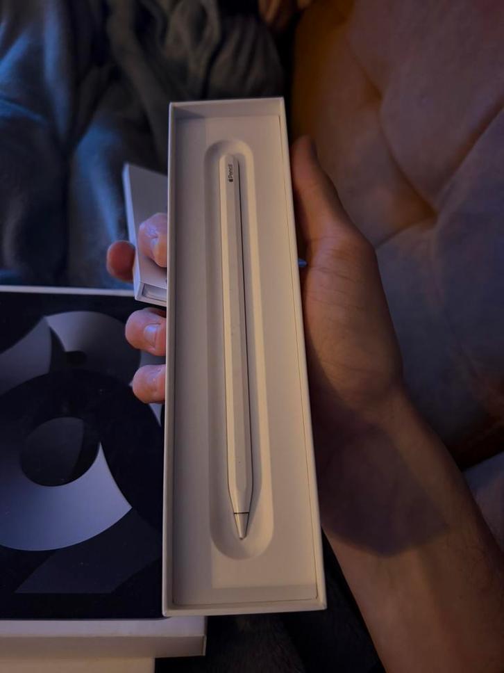 Apple pencil 2de generatie, Computers en Software, Apple iPads, Zo goed als nieuw, 9 inch, Ophalen