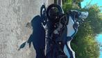 Suzuki v-strom 650, Motoren, Particulier, Toermotor, 650 cc