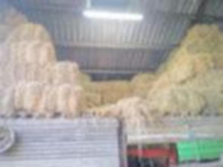 petites ballots de foin, Animaux & Accessoires, Nourriture pour Animaux, Enlèvement ou Envoi