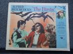 Affiches originales du film américain « The Birds » d'Hitchc, Collections, Affiche, Utilisé, Enlèvement ou Envoi, Film