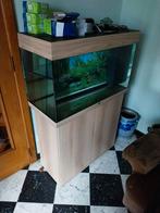 Aquarium avec meuble Juwel Rio 125 comme neuf, Zo goed als nieuw, Ophalen