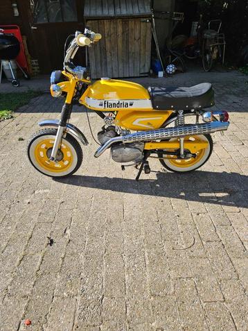 FLANDRIA SP837  beschikbaar voor biedingen