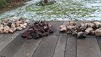 Stenen uit aquarium, Tuin en Terras, Ophalen, Gebruikt