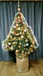 Magnifique sapin de Noël en pot, prêt à être planté !, Jardin & Terrasse, Plantes | Arbres, En pot, Autres espèces, Enlèvement