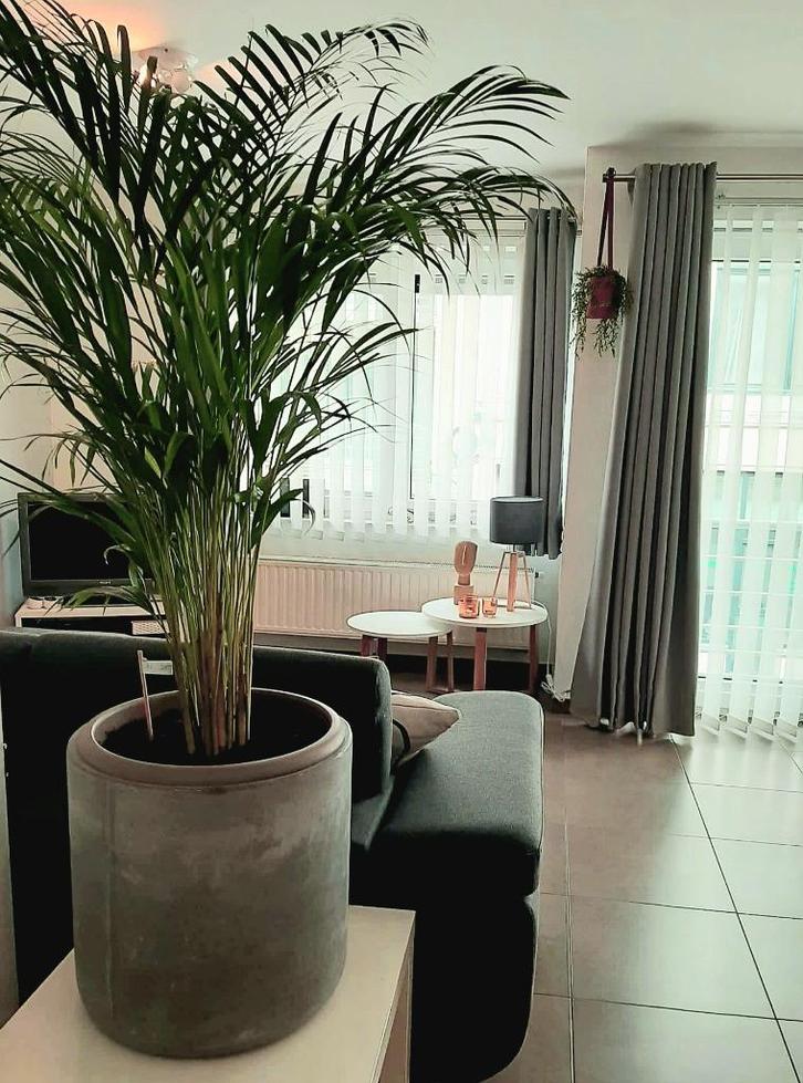 Gezellig appartement centrum Oostende, 2 slpk, wifi, tv, Vakantie, Vakantiehuizen | België, Antwerpen of Vlaanderen, Appartement