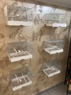 Lot de 6 cages Domus voir description, Ophalen, Nieuw, Metaal, Vogelkooi
