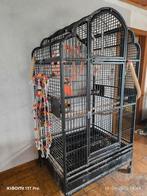 Papegaaienkooi, Dieren en Toebehoren, Vogels | Hokken en Kooien, Ophalen