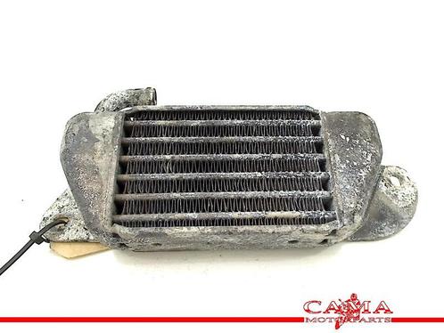 RADIATEUR EAU BMW R 1200 C (R1200C 97) (01-1997/-), Motos, Pièces | BMW, Utilisé