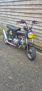 B klasse dax 110cc, Ophalen