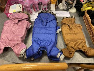 Skipakjes van het leuk merk Doggy Dolly aan outlet beschikbaar voor biedingen