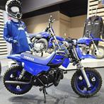 Yamaha PW 50, Entreprise, Moto de cross, 49 cm³