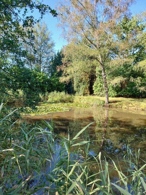 vijver te Lille, Tuin en Terras, Vijvers, Ophalen of Verzenden