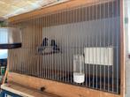 Kweekkooi, Dieren en Toebehoren, Ophalen of Verzenden
