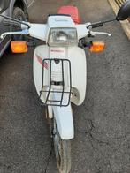 Honda scoopy 50cc te koop, Fietsen en Brommers, Brommers | Oldtimers, Ophalen of Verzenden