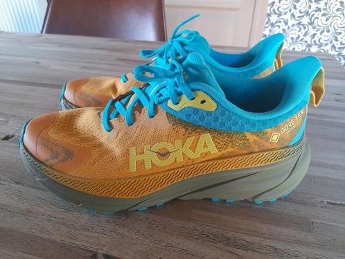 Chaussures de course Hoka Challenger ATR 7 GTX taille 40 2/3, Vêtements | Hommes, Chaussures, Neuf, Chaussures de sport, Enlèvement ou Envoi